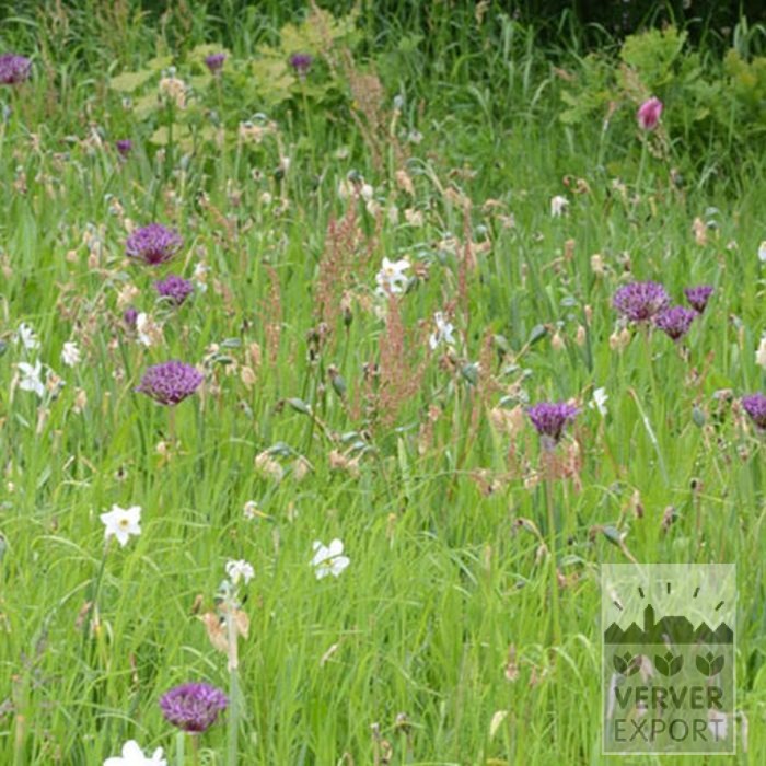 Kits 'Flora Nature' © (11317) – Bild 5