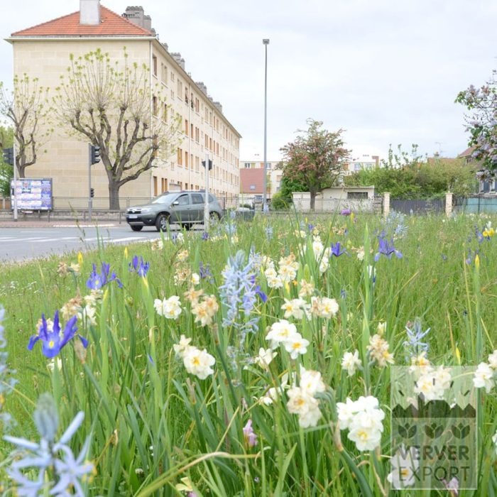 Kits 'Flora Livry-Gargan' © (11381) – Bild 3