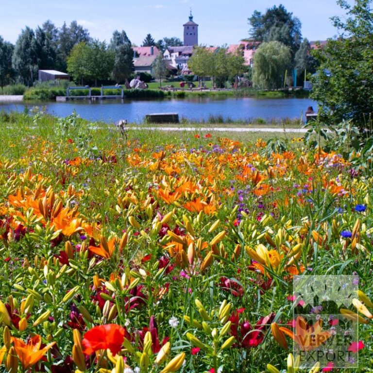 Kits Verver 'Hot Summer' © (21048) – Bild 3