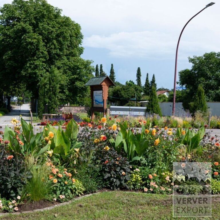 Sommer Trams Verver 'Ardeur Festival' © / 5 m² (29308)