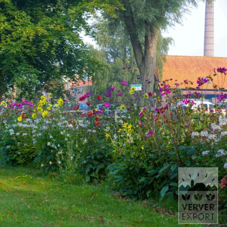 Sommer Trams Verver 'Bees & Butterflies' © / 6 m² (29309) – Bild 2