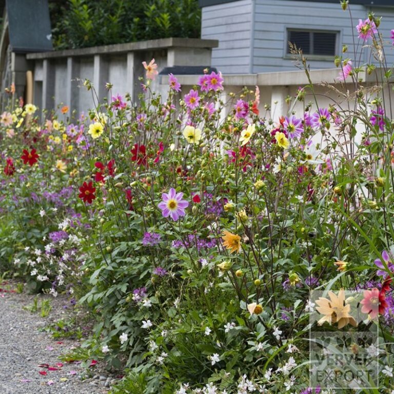Sommer Trams Verver 'Bees & Butterflies' © / 6 m² (29309)