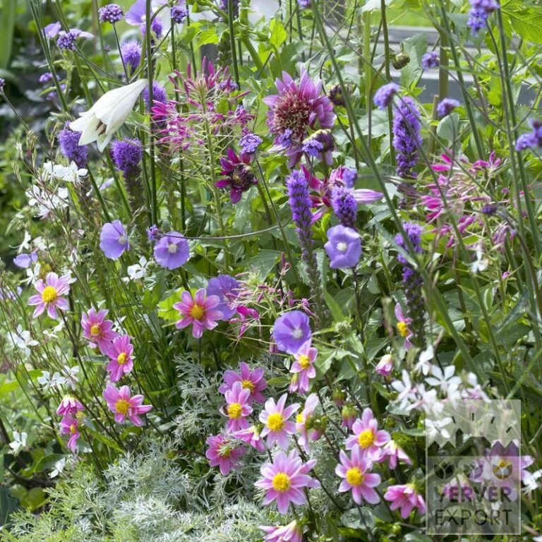 Sommer Trams Verver 'Bouquet Estival Romantique' © / 5 m² (29311) – Bild 2