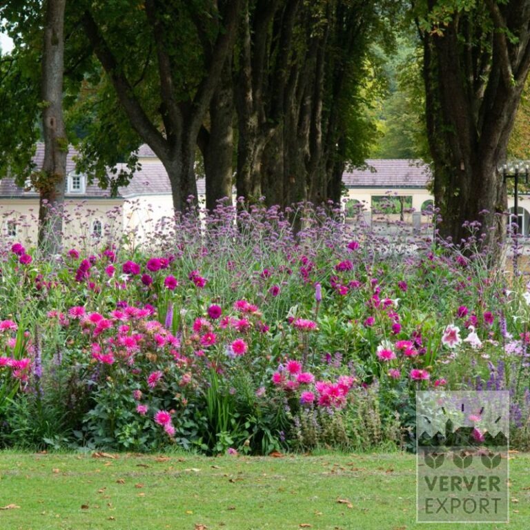 Sommer Trams Verver 'Bouquet Estival Romantique' © / 5 m² (29311)