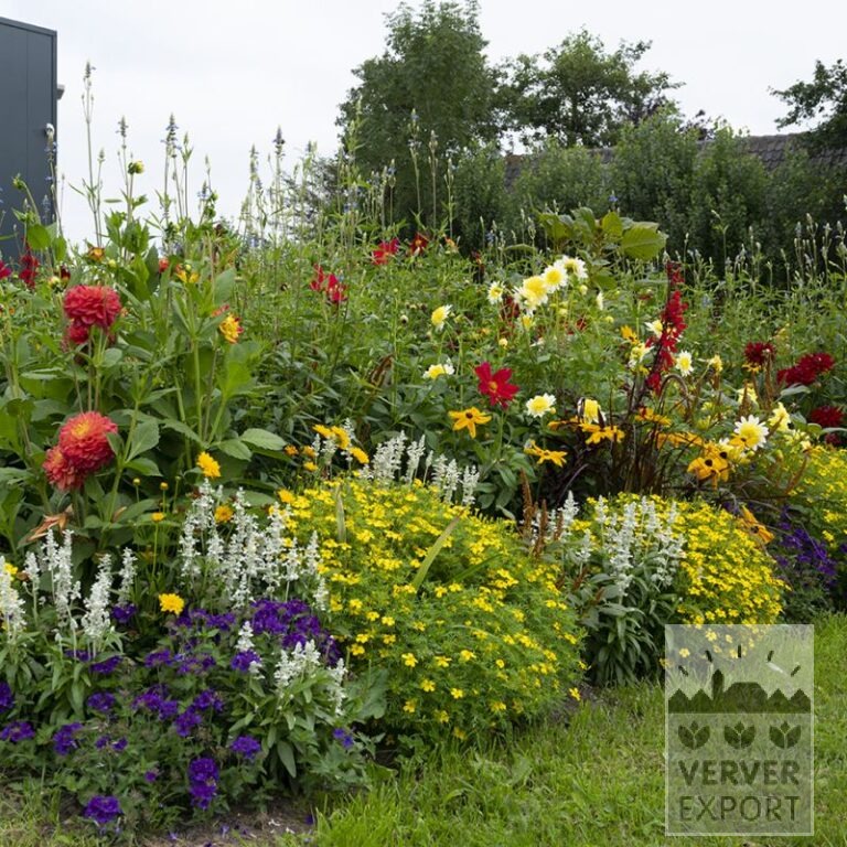Sommer Trams Verver 'Ratatouille' © / 33 m² (29917) – Bild 2