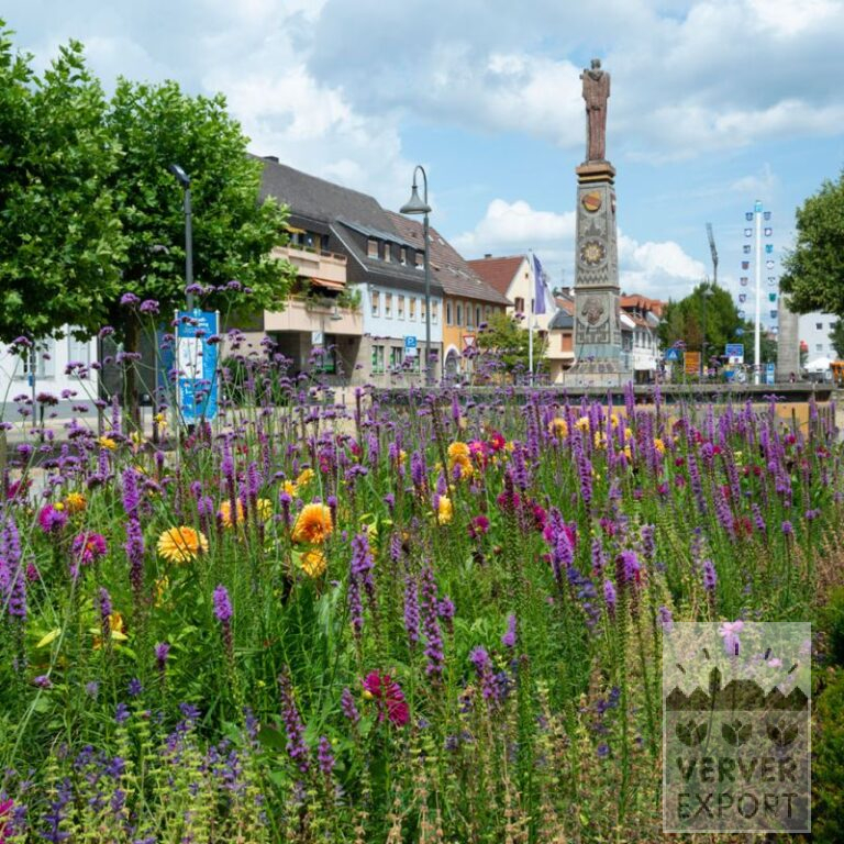 Sommer Trams Verver 'Rollercoaster Ride' © / 5 m² (29348)