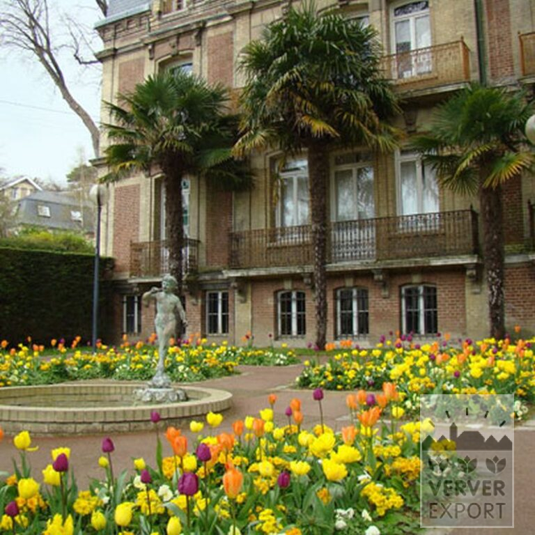 Mischungen Verver 'Ville de Malakoff' © (11039) – Bild 5