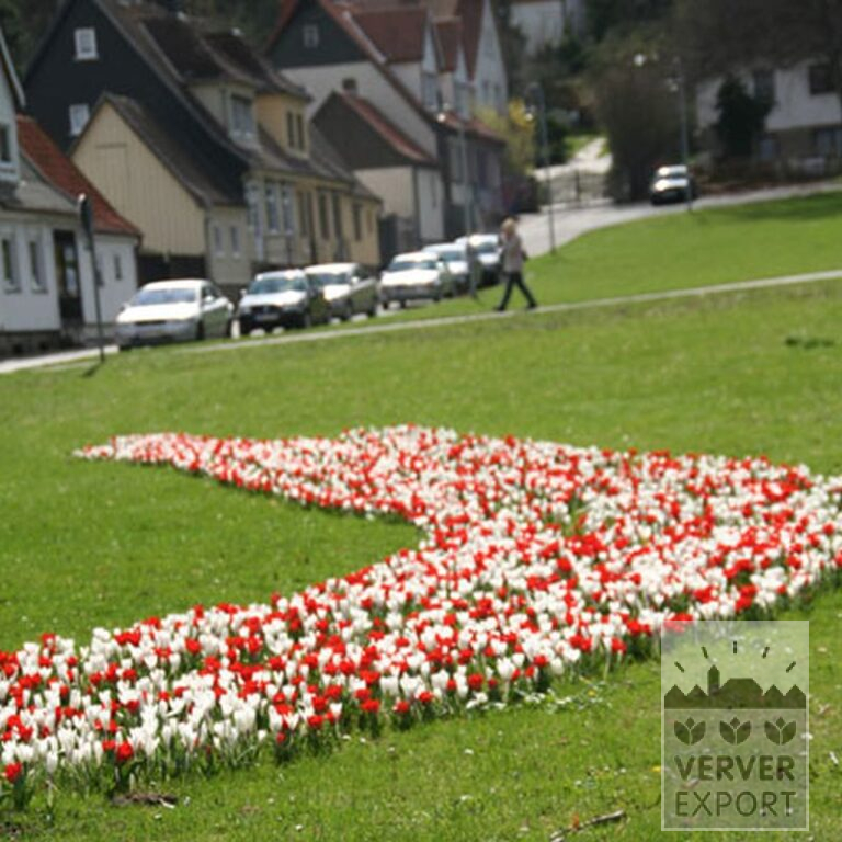 Mischungen Verver 'Ameland' © (11006) – Bild 5