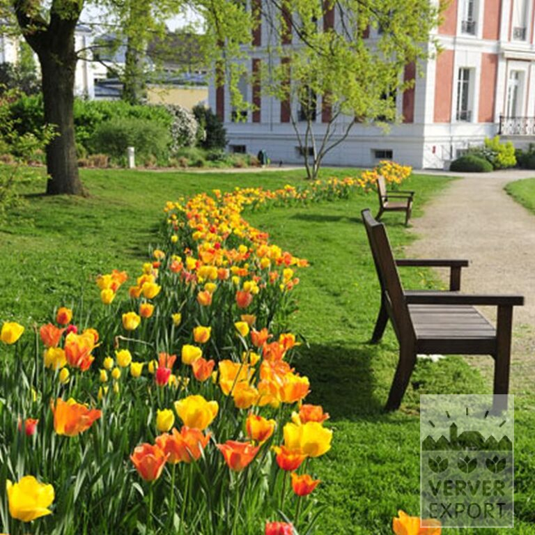 Mischungen Verver 'Royal' © (11048) – Bild 3