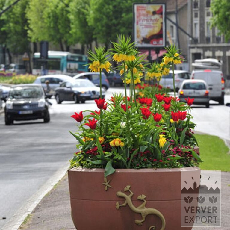 Fritillaria imperialis 'Lutea' (16053) – Bild 17