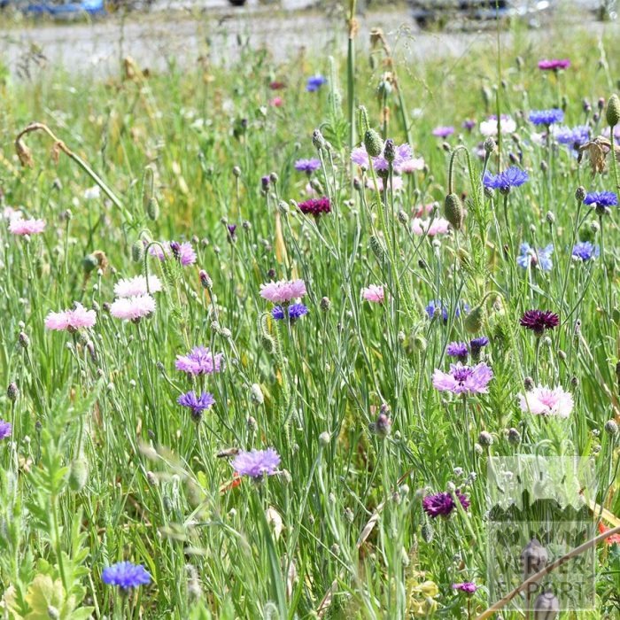 Kits 'Nature Evolution' © (11592) – Bild 3