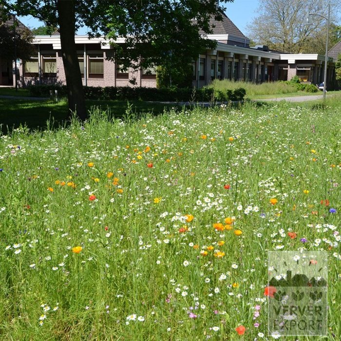 Kits 'Nature Fiesta' © (11791) – Bild 3
