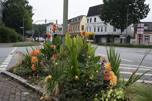Ardeur Festival Elmshorn
