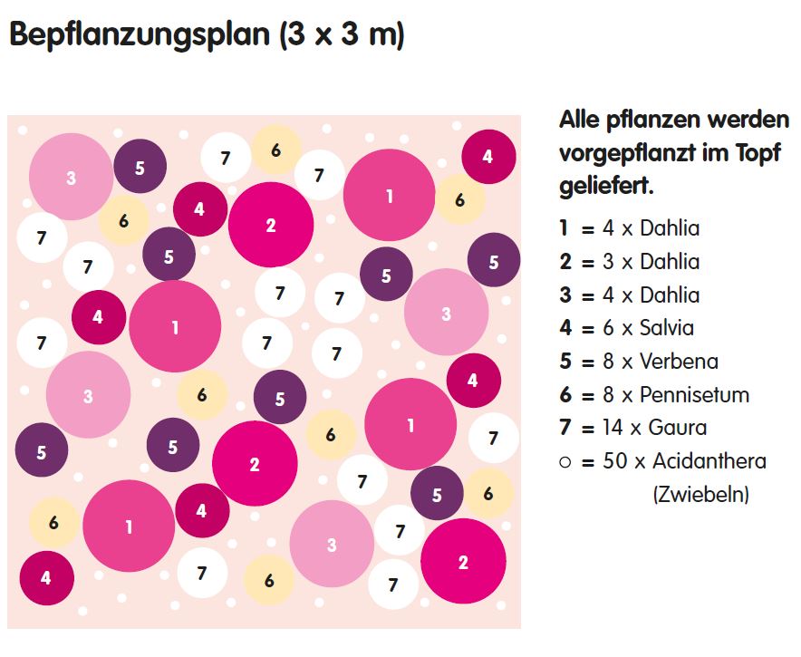 Voorbeeld beplantingsplan